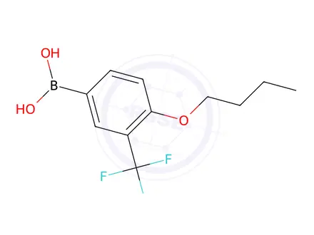 Chemical structure of 4-Butoxy-3-(trifluoromethyl)phenylboronic acid