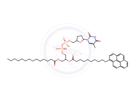 Chemical structure of 3'-deoxythymidine diphosphate 1-myristoyl-2-(10-pyren-1-yl-decanoyl)glycerol