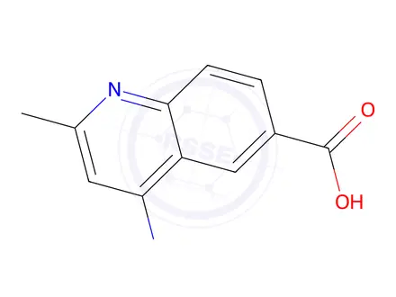Chemical structure of 4-Amino-2-methylquinoline-6-carboxylic Acid