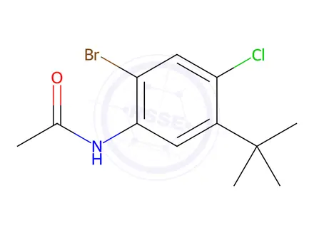 Chemical structure of N-(2-Bromo-5-(tert-butyl)-4-chlorophenyl)acetamide