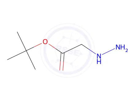 Chemical structure of tert-butyl amino glycinate