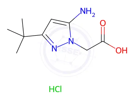 Chemical structure of 2-(5-amino-3-tert-butyl-1H-pyrazol-1-yl)acetic acid hydrochloride