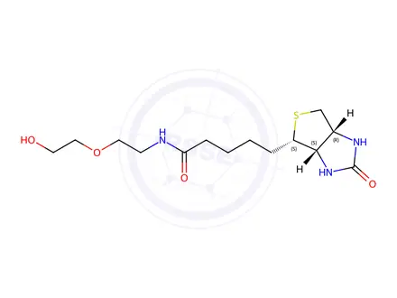 Chemical structure of N-(2-(2-Hydroxyethoxy)ethyl)-5-((3aS,4S,6aR)-2-oxohexahydro-1H-thieno[3,4-d]imidazol-4-yl)pentanamide