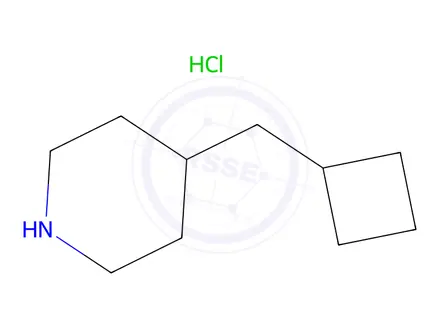 Chemical structure of 4-(cyclobutylmethyl)piperidine hydrochloride