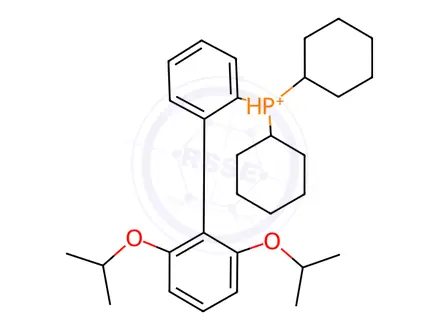 Chemical structure of CHLORO(1-T-BUTYLINDENYL)[2-(DICYCLOHEXYLPHOSPHINO)-2',6'-DI-I-PROPOXY-1,1'-BIPHENYL]PALLADIUM(II)