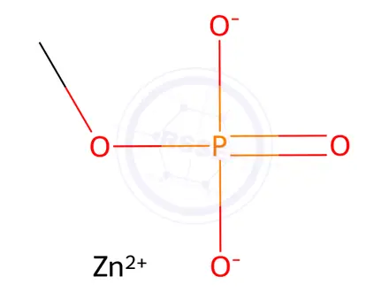 Chemical structure of zinc methyl phosphate