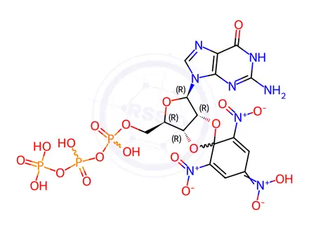 Chemical structure of Guanosine 5'-(tetrahydrogen triphosphate), 2',3'-O-(2,4,6-trinitro-2,4-cyclohexadien-1-ylidene)-