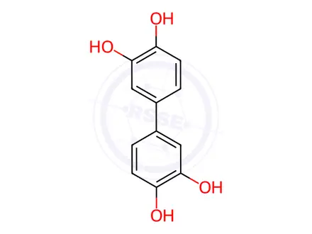 Chemical structure of 4-(3,4-dihydroxyphenyl)benzene-1,2-diol