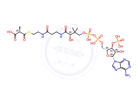 Chemical structure of Coenzyme A Impurity 20