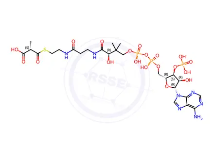 Chemical structure of Methylmalonyl coenzyme A tetralithium salt hydrate