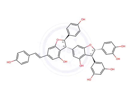 Chemical structure of Gnetin J