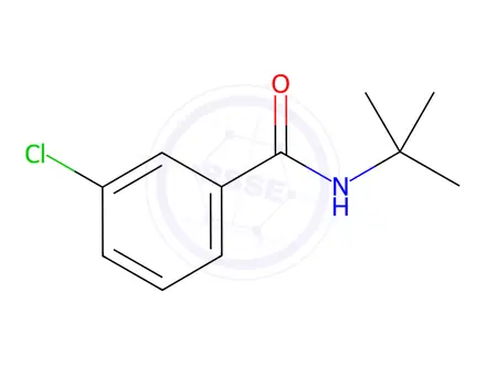 Chemical structure of N-Tert-butyl-3-chlorobenzamide