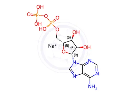 Chemical structure of Adenosine 5′-diphosphate sodium salt