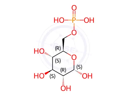 Chemical structure of α-D-Glucose 6-phosphate