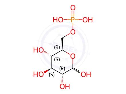 Chemical structure of D-Glucose 6-Phosphate