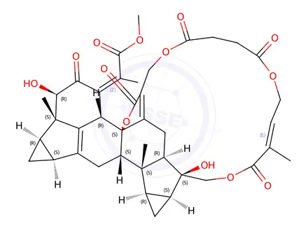 Chemical structure of Shizukaol B