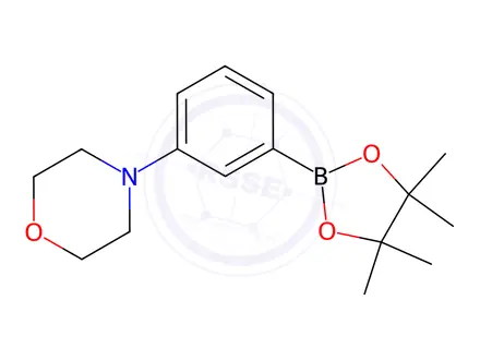 Chemical structure of 3-Morpholinophenylboronic acid, pinacol ester