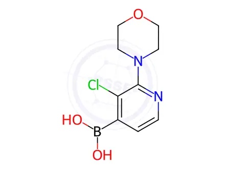 Chemical structure of 3-Chloro-2-morpholinopyridine-4-boronic acid