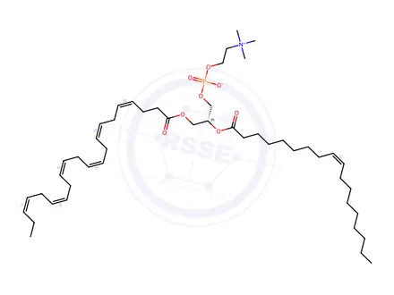 Chemical structure of 1-Docosahexaenoin-2-oleoyl 3-Phosphocholine