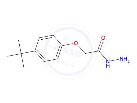 Chemical structure of 2-(4-tert-butylphenoxy)acetohydrazide