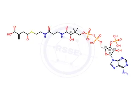 Chemical structure of Coenzyme A Impurity 39 (Itaconyl CoA)