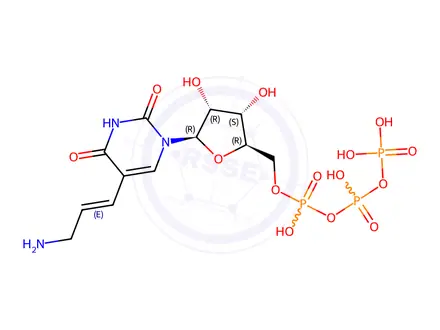 Chemical structure of Uridine 5'-(tetrahydrogen triphosphate), 5-[(1E)-3-amino-1-propen-1-yl]-