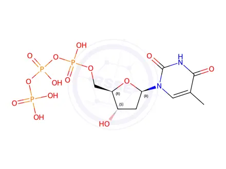 Chemical structure of Thymidine-5-Triphosphate Trisodium Salt