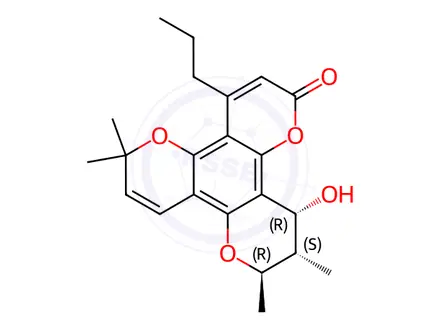 Chemical structure of calanolide B