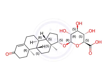 Chemical structure of Testosterone Glucuronide