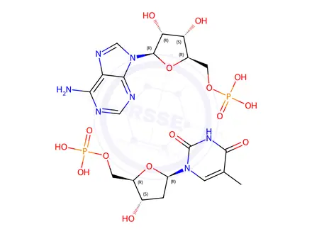 Chemical structure of poly A-T