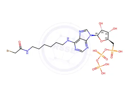 Chemical structure of SML-8-73-1 Impurity 51