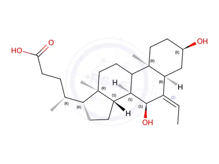 Chemical structure of 6-Vinyl Chenodeoxycholic Acid