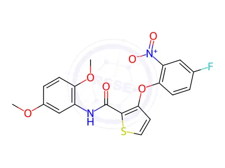 Chemical structure of N-(2,5-dimethoxyphenyl)-3-(4-fluoro-2-nitrophenoxy)thiophene-2-carboxamide