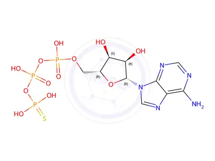 Chemical structure of Adenosine 5′-(3-thiotriphosphate)