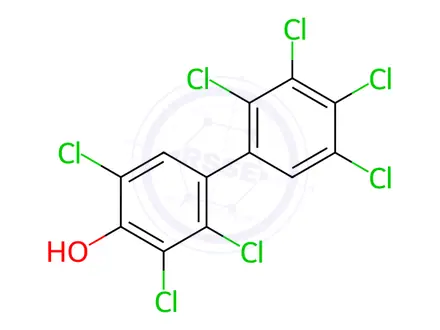 Chemical structure of 4'-Hydroxy-2,2',3,3',4,5,5'-heptachlorobiphenyl