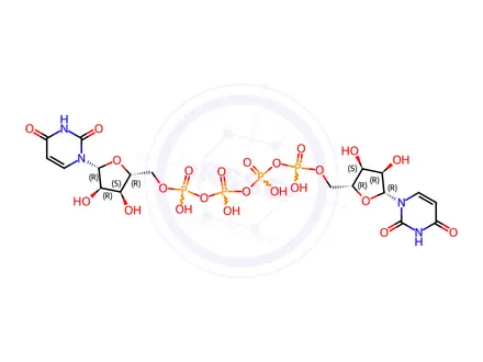 Chemical structure of Diquafosol