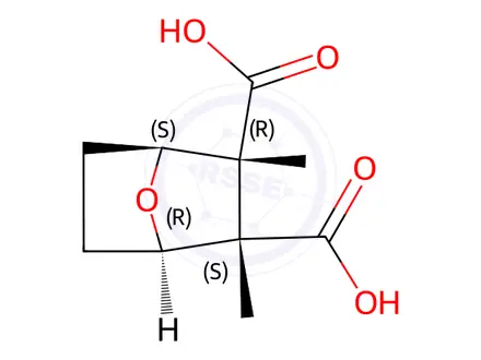 Chemical structure of Cantharidic Acid