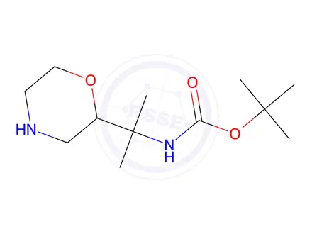 Chemical structure of tert-Butyl (2-(morpholin-2-yl)propan-2-yl)carbamate