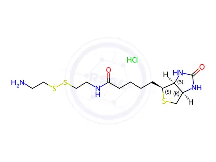 Chemical structure of Biotin-SS-Amine HCl Salt