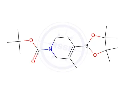 Chemical structure of Tert-butyl 5-methyl-4-(4,4,5,5-tetramethyl-1,3,2-dioxaborolan-2-yl)-3,6-dihydropyridine-1(2H)-carboxylate