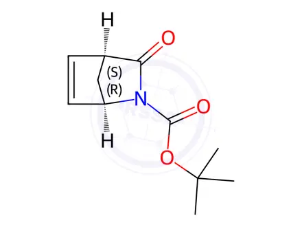 Chemical structure of (1R,4S)-3-Oxo-2-azabicyclo[2.2.1]hept-5-ene-2-carboxylic acid 1,1-Dimethylethyl Ester