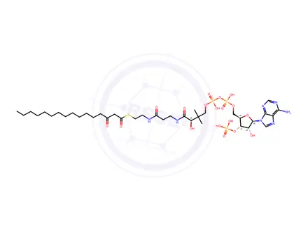 Chemical structure of 3-Ketopalmitoyl-CoA