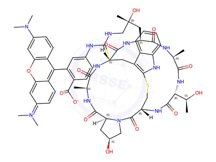 Chemical structure of ((R)-4-Hydroxy-4-methyl-Orn(TRITC)7)-Phalloidin