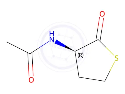 Chemical structure of (R)-N-(2-Oxotetrahydrothiophen-3-yl)acetamide