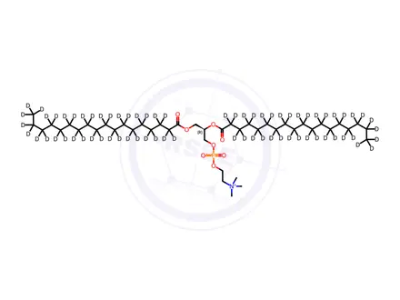Chemical structure of 18:0 PC-d70