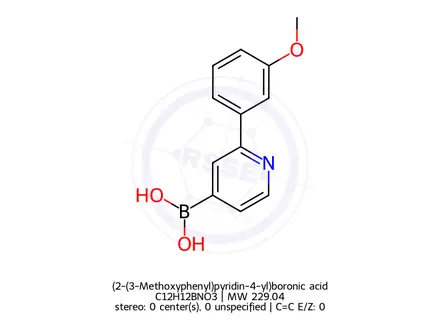 Chemical structure of (2-(3-Methoxyphenyl)pyridin-4-yl)boronic acid