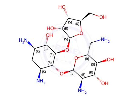 Chemical structure of Ribostamycin