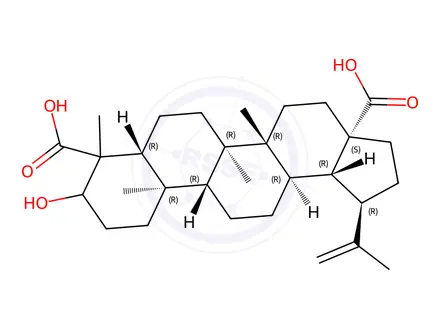 Chemical structure of 3-hydroxylup-20(29)en-23,28-dioic acid
