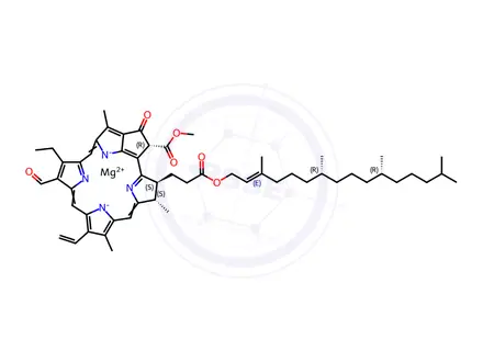 Chemical structure of Chlorophyll B
