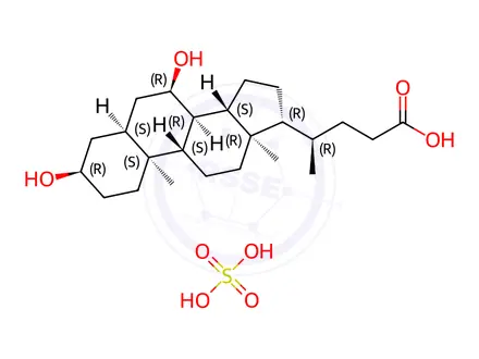 Chemical structure of Chenodeoxycholic acid sulfate conjugate